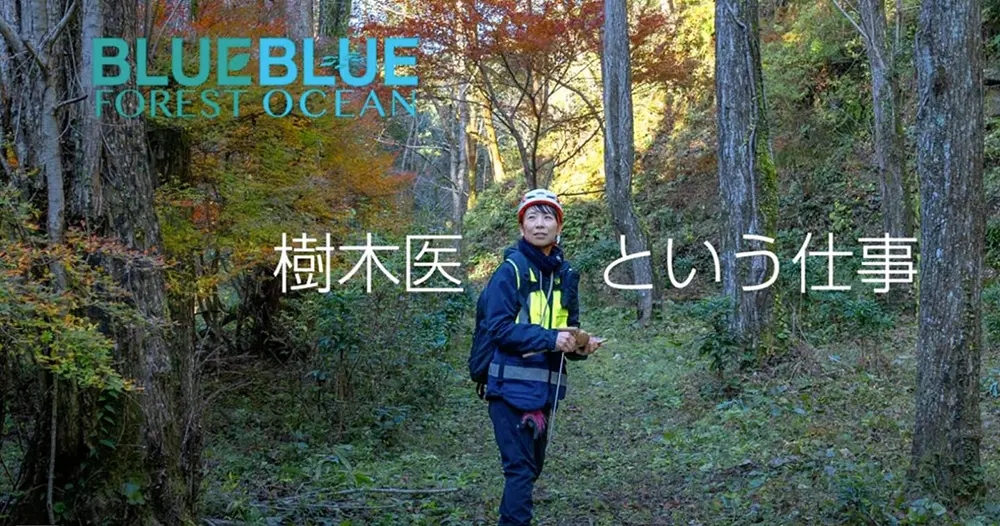安芸市流域森づくり構想「BLUE FOREST BLUE OCEAN」の事例