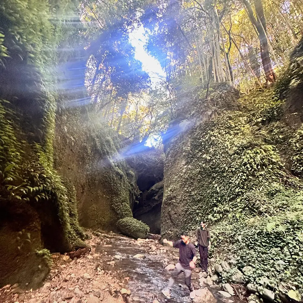 安芸市流域森づくり構想「BLUE FOREST BLUE OCEAN」の事例写真3