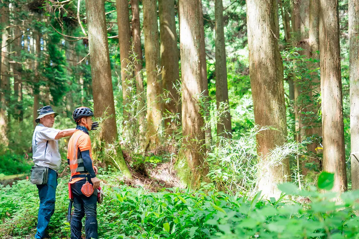 日本郵船グループ 様「ゆうのもりプロジェクト」の事例
