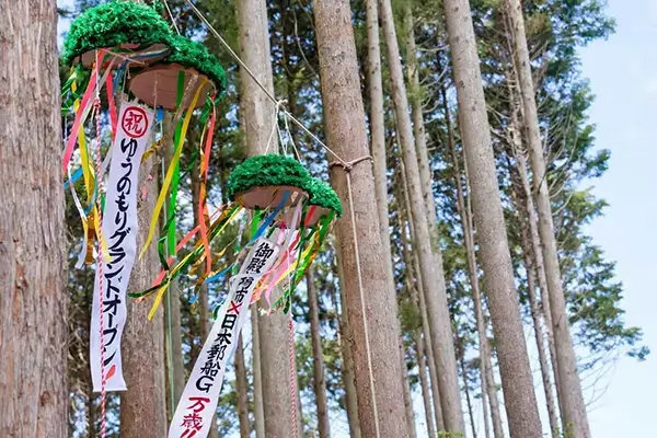 日本郵船グループ 様「ゆうのもりプロジェクト」の事例写真2