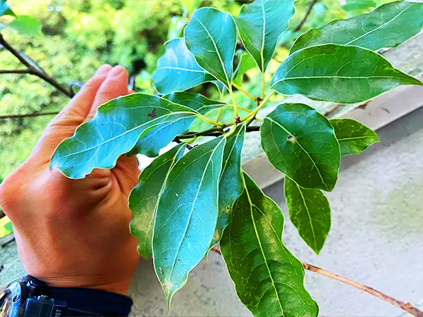 個人邸 F様の事例写真4