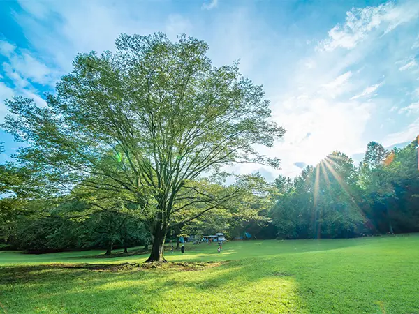 INN THE PARK 様の事例写真2