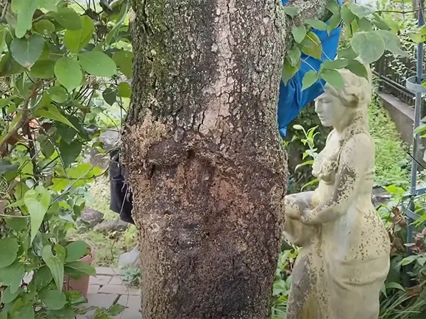 個人邸 S様の事例