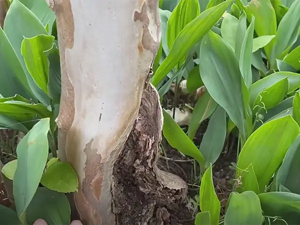 個人邸 S様の事例写真2