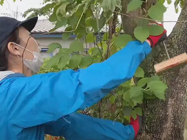 個人邸 S様の事例写真3