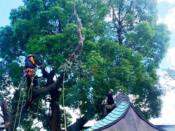 隅田稲荷神社 様の事例写真2