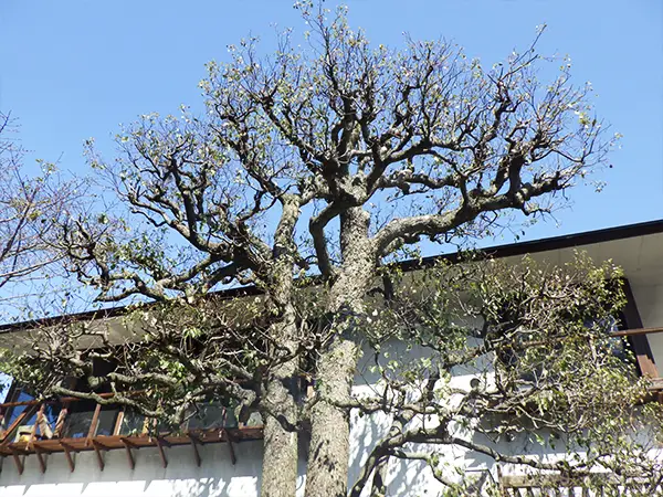 個人邸 F様の事例