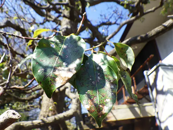 個人邸 F様の事例写真2